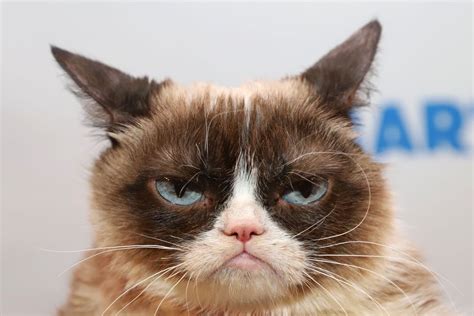 'Grumpy Cat' Wasn't So Cranky After All