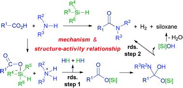 The mechanism and structure–activity relationship of amide bond formation by silane derivatives ...