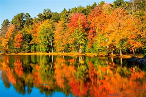 Local: Old Forge Fall Foliage Report