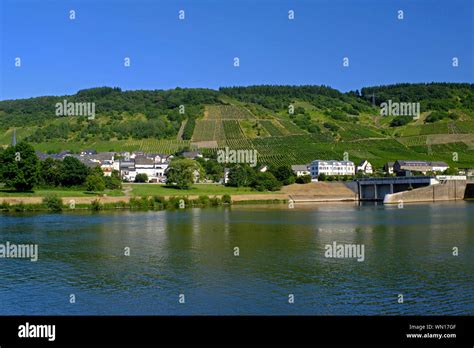 The Moselle River on the approach to Bernkastel-Kues Stock Photo - Alamy