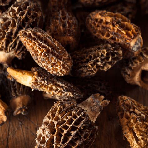 Dried morel mushrooms – Arfungo Comimpex srl