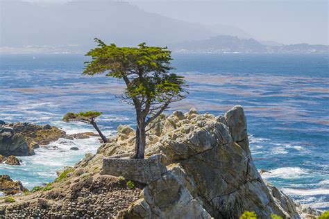 Visitor's Guide to Pebble Beach, California