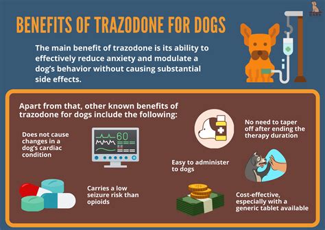 Trazodone For Dogs: Uses, Benefits, And Precautions For Dog Behavior Management | Bark For More