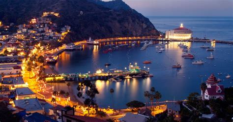 Ultimate Guide to Catalina Island - Visit Long Beach