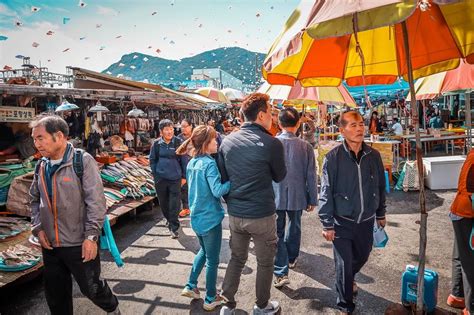 Jagalchi Fish Market, Busan - a delight for the senses - Daily Travel Pill