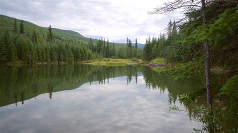 Chena Hot Springs in Fairbanks, Alaska | Expedia