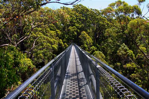 Top 10 Things to Do – Walpole Visitor Centre