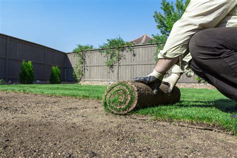 The Benefits of Buying Local, Farm-Fresh Sod - Quantico Creek Sod Farms