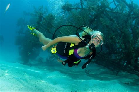 nassau-discover-dive-course - Bahamas Cruise Excursions