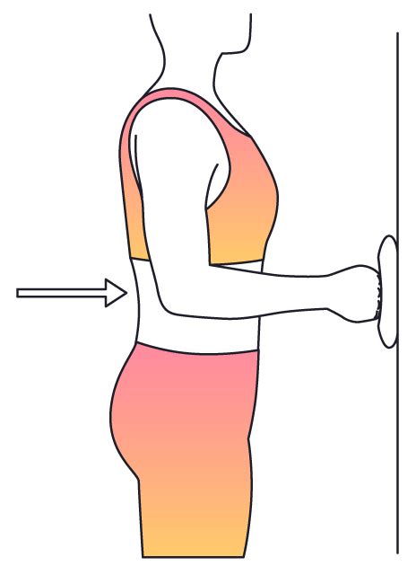 Physera - Shoulder Flexion Isometric