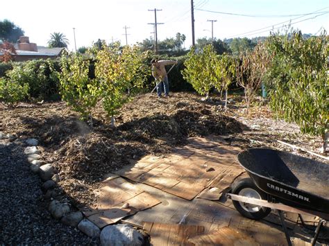 A Thinking Stomach: Mulch Mania