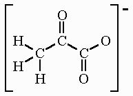 Pyruvate Ion Formula & Structure