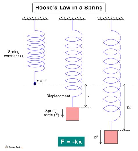 Hooke’s Law: Statement, Formula, and Diagram