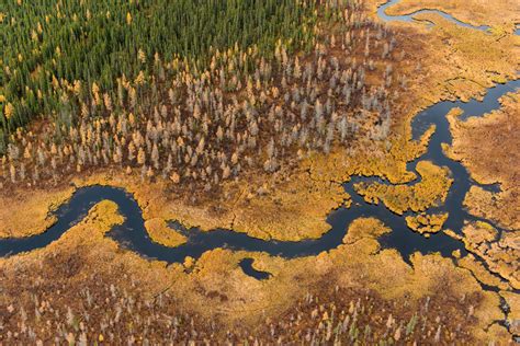 Ontario’s Ring of Fire and battle over its carbon-rich peatlands