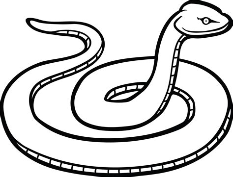 Download Free Clipart Of A Snake - Snake Clipart Black And White - Full ...