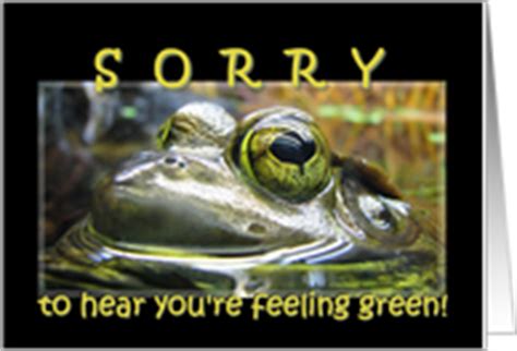 Get Well Soon Cards With Frogs from Greeting Card Universe