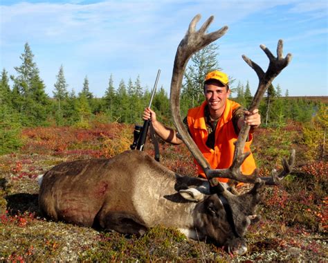 Caribou Hunting Dates and Rates | Webber's Lodges