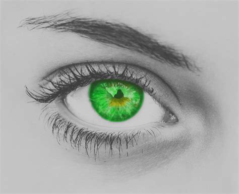 Green Eye Of Woman Free Stock Photo - Public Domain Pictures
