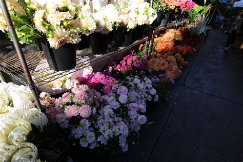 New York City Flower Market Guide