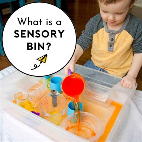 Sensory Bins for Toddlers - Busy Toddler