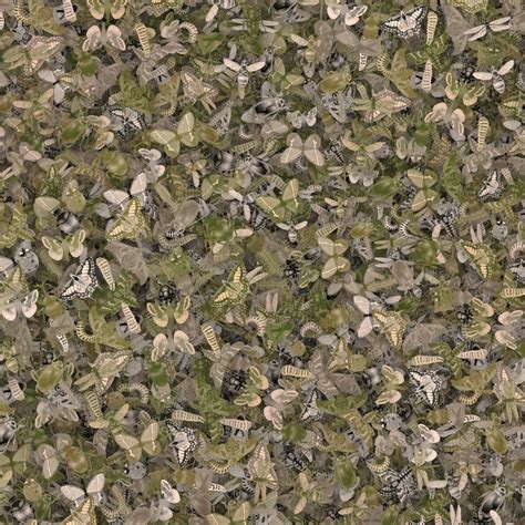 Insect Camouflage Pattern