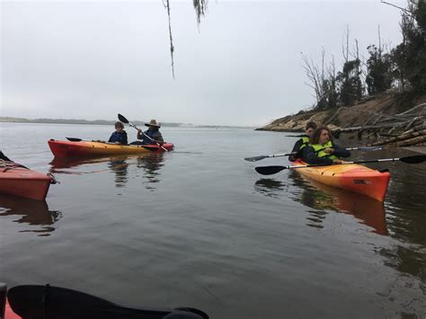 Morro Bay Kayaking 2019 | Troop 4 Pasadena, California