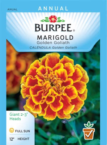 Burpee Golden Goliath Marigold Seeds, 1 ct - Fred Meyer