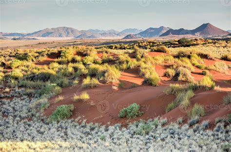 Desert Landscape - NamibRand, Namibia 16100590 Stock Photo at Vecteezy