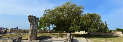 Jaffna Fort - Experiences & Attractions | Jetwing Jaffna