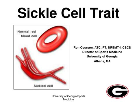 PPT - Sickle Cell Trait PowerPoint Presentation, free download - ID:536912