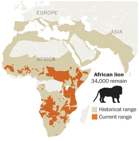 Historical and Present day lions range map | Amazing maps, Africa map, Lions