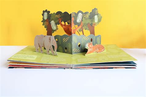 Illustrated Animal Pop-Up Book :: Behance