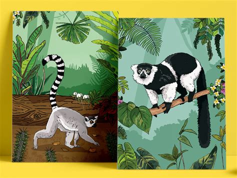 Lemur Habitat Illustrated Posters by Root Studio on Dribbble