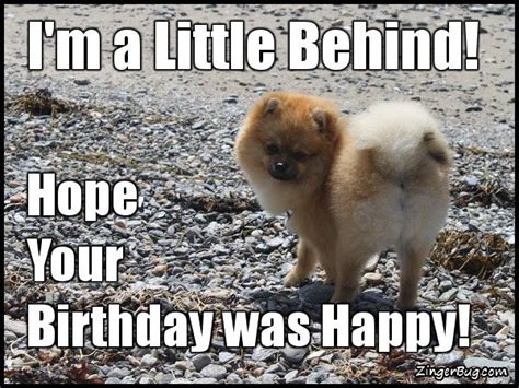 20 Funny Belated Birthday Memes