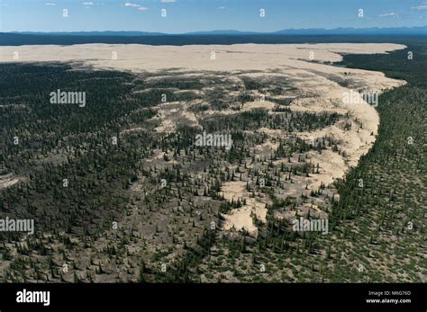 The Great Kobuk Sand Dunes, Kobuk Valley National Park Stock Photo - Alamy