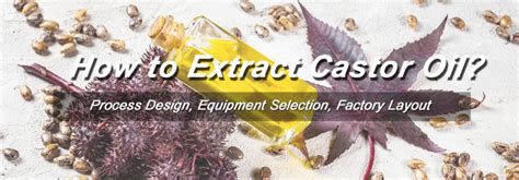 Advanced Castor Oil Extraction & Refining Methods and Machines for Sales