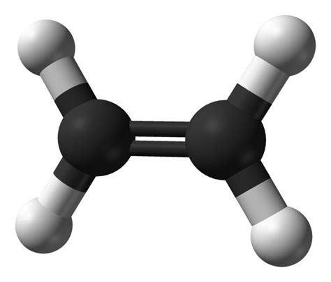 Difference Between Ethane Ethene and Ethyne | Compare the Difference Between Similar Terms