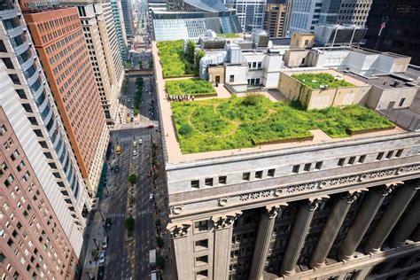 The ‘green’ roof on Chicago’s City Hall has helped mitigate UHI | Urban heat island, Ecology ...