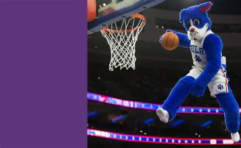 NBA Mascot Salary in 2022 【Updated】 - CareerExplorer