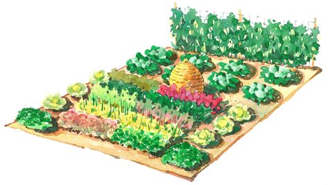 Enjoy Homegrown Produce With This Large-Scale Vegetable Garden Plan