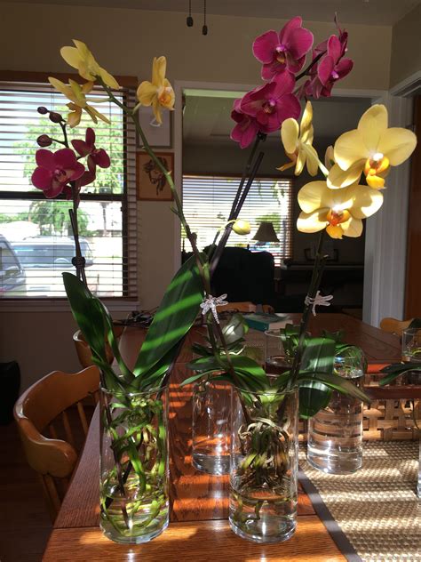 Orchid Care: Three Vases Filled with Flowers