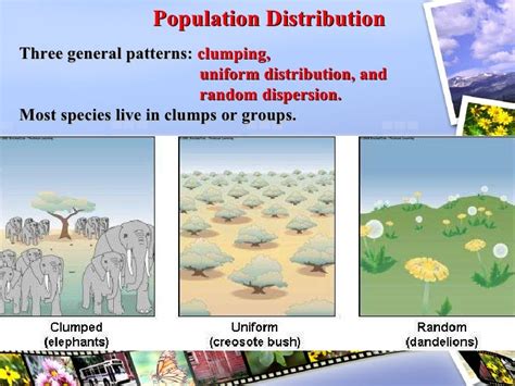 Population Ecology