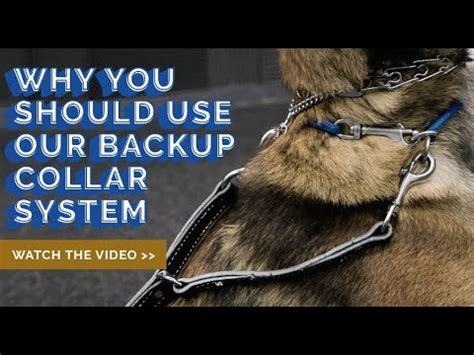 Prong Collar Safety Tip - YouTube