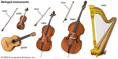 A Beginner’s Guide to Instruments of the Orchestra | Spinditty