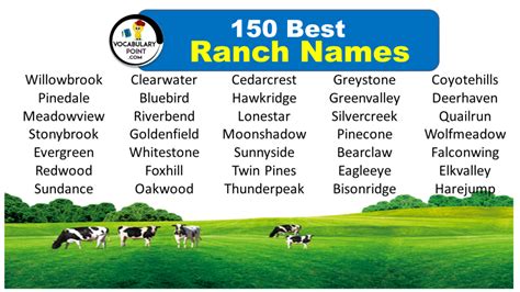 250 Best Ranch Names (Funny & Cool) - Vocabulary Point