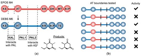 Molecules | Special Issue : Polyketides