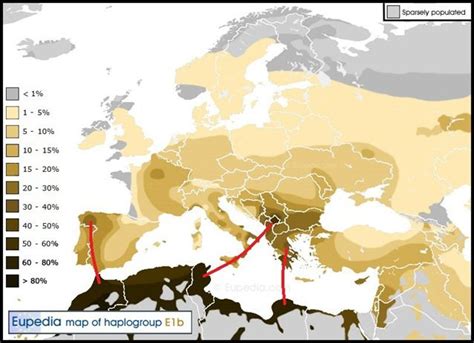 Europe Haplogroup-E1b1b European Ancestry, Human Migration, Dna Genealogy, Genealogy Ireland ...