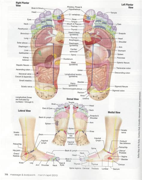 Foot pain relief store, foot pain diagram