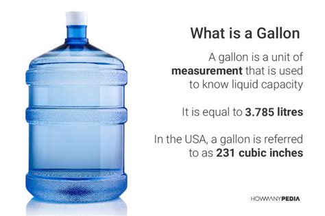 How Many Pounds in a Gallon - Howmanypedia