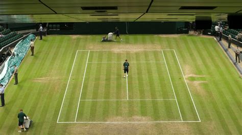 Wimbledon Grass Court - Wimbledons Grass is Considered to Be Injected ...